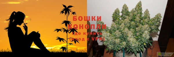 меф Белокуриха