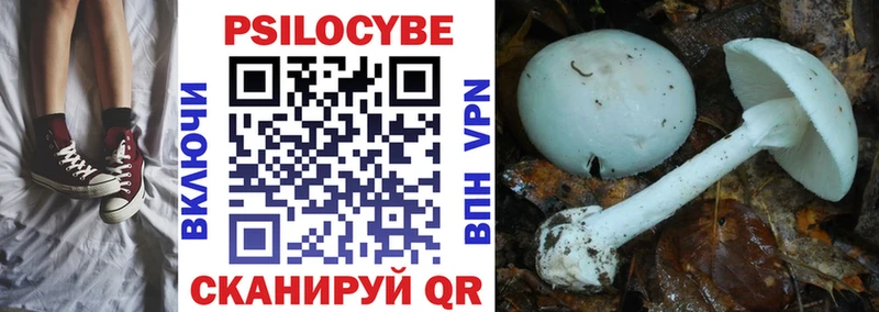 Псилоцибиновые грибы Psilocybine cubensis  магазин продажи наркотиков  Нарьян-Мар 
